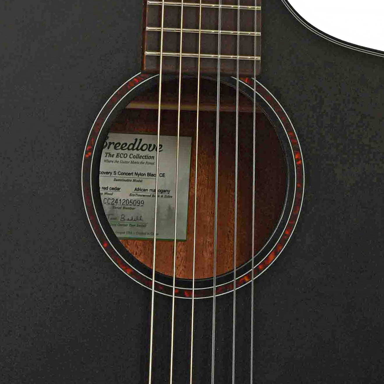 Breedlove Discovery S Concert Nylon Acoustic-Electric Guitar (2024)