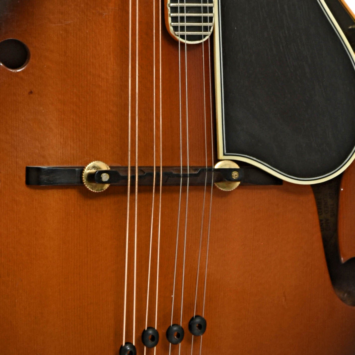 Bridge of Gibson F-5 Master Model Mandolin