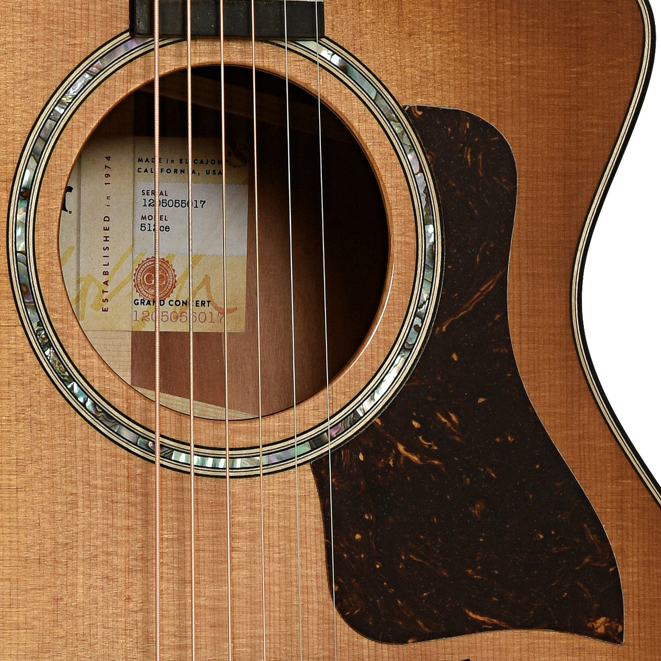 Soundhole of Taylor 512CE Acoustic Guitar 
