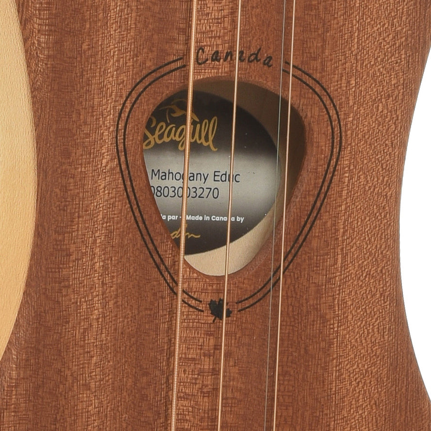 Soundhole of Seagull M4 "Merlin G" 4-String Diatonic Acoustic Instrument 