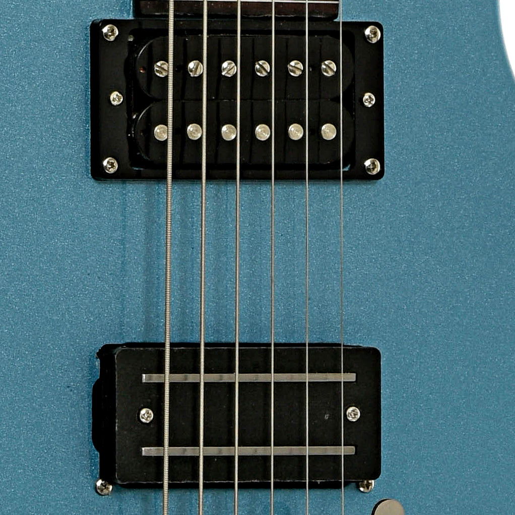 Pickups of Asher Electro Hawaiian Jr Lap Steel