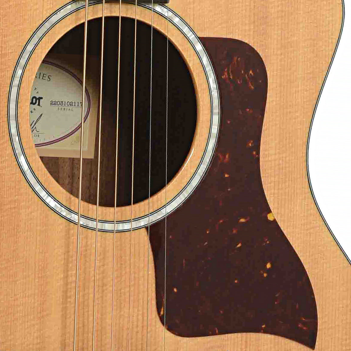 Soundhole of Taylor 214ce DLX