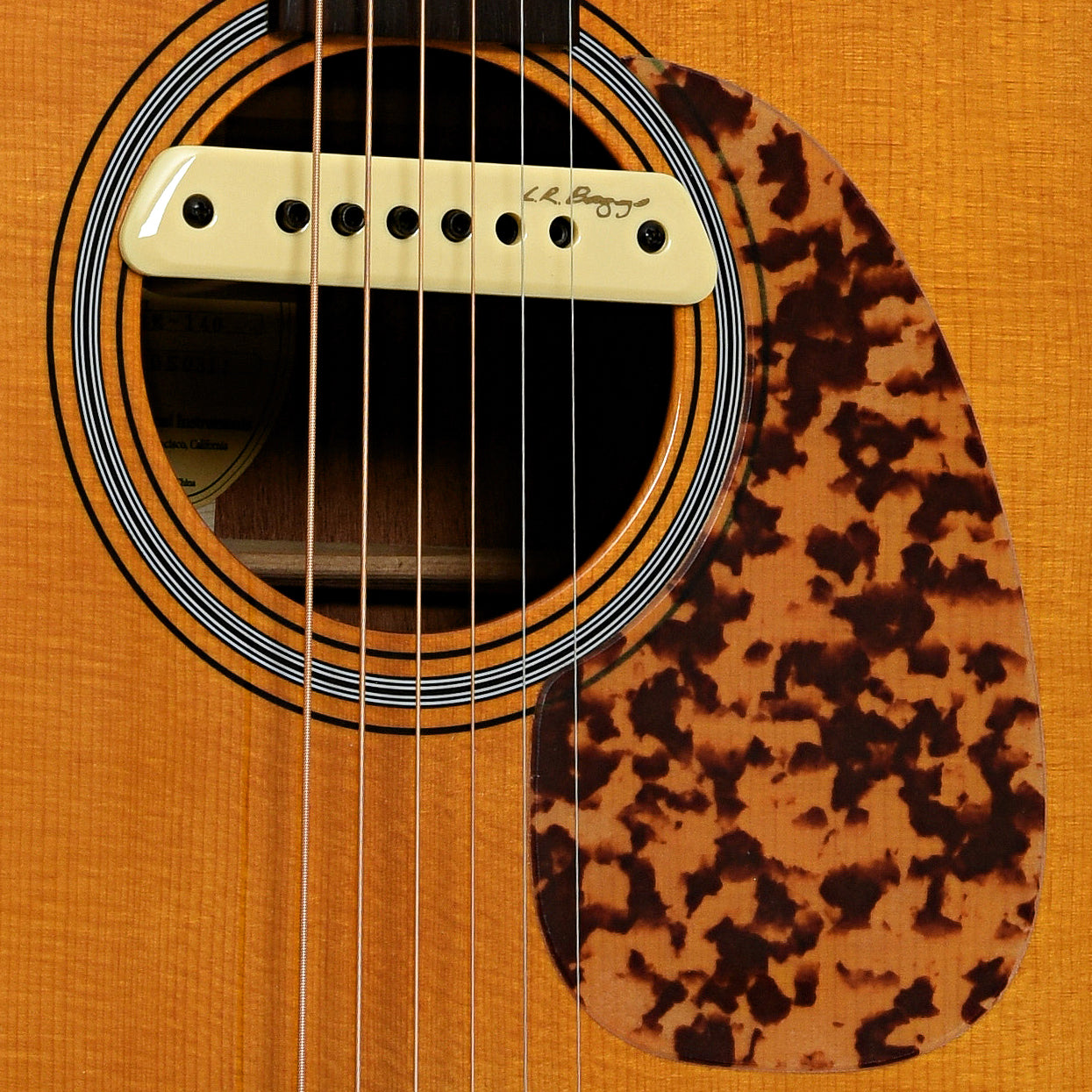 Soundhole of Blueridge BR-140 Acoustic Guitar