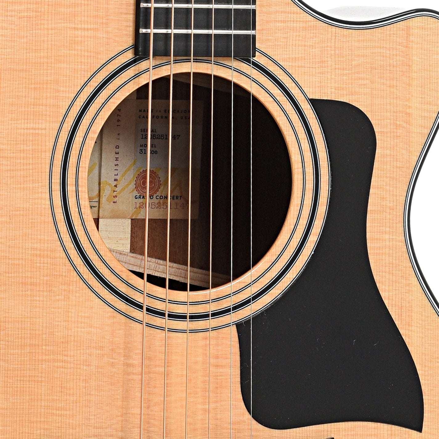 Sound hole and pickguard of Taylor 312-ce V-Class Acoustic-Electric Guitar