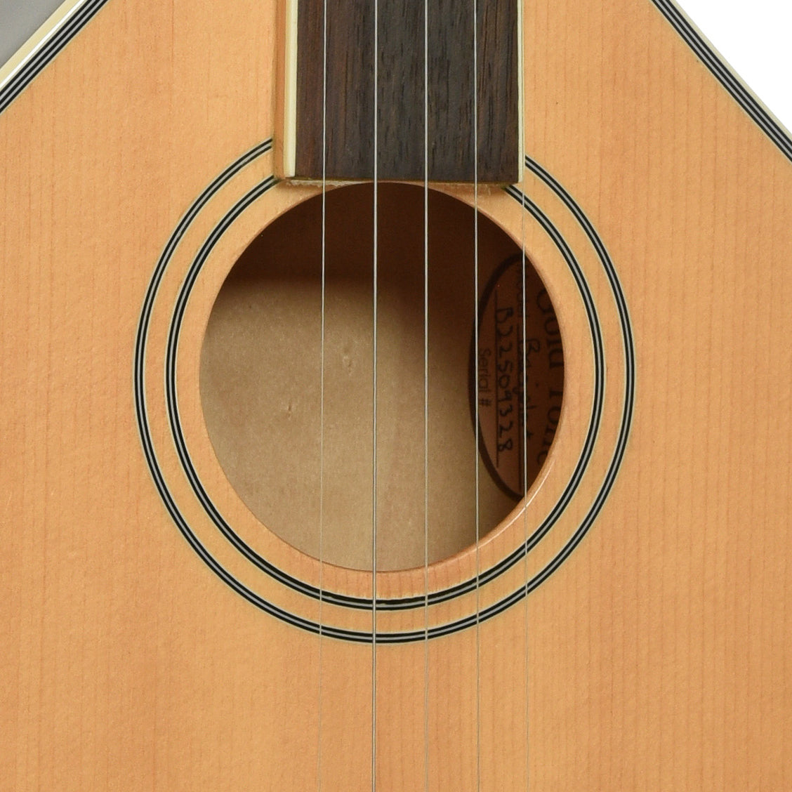 Soundhole of Gold Tone Banjola+ S