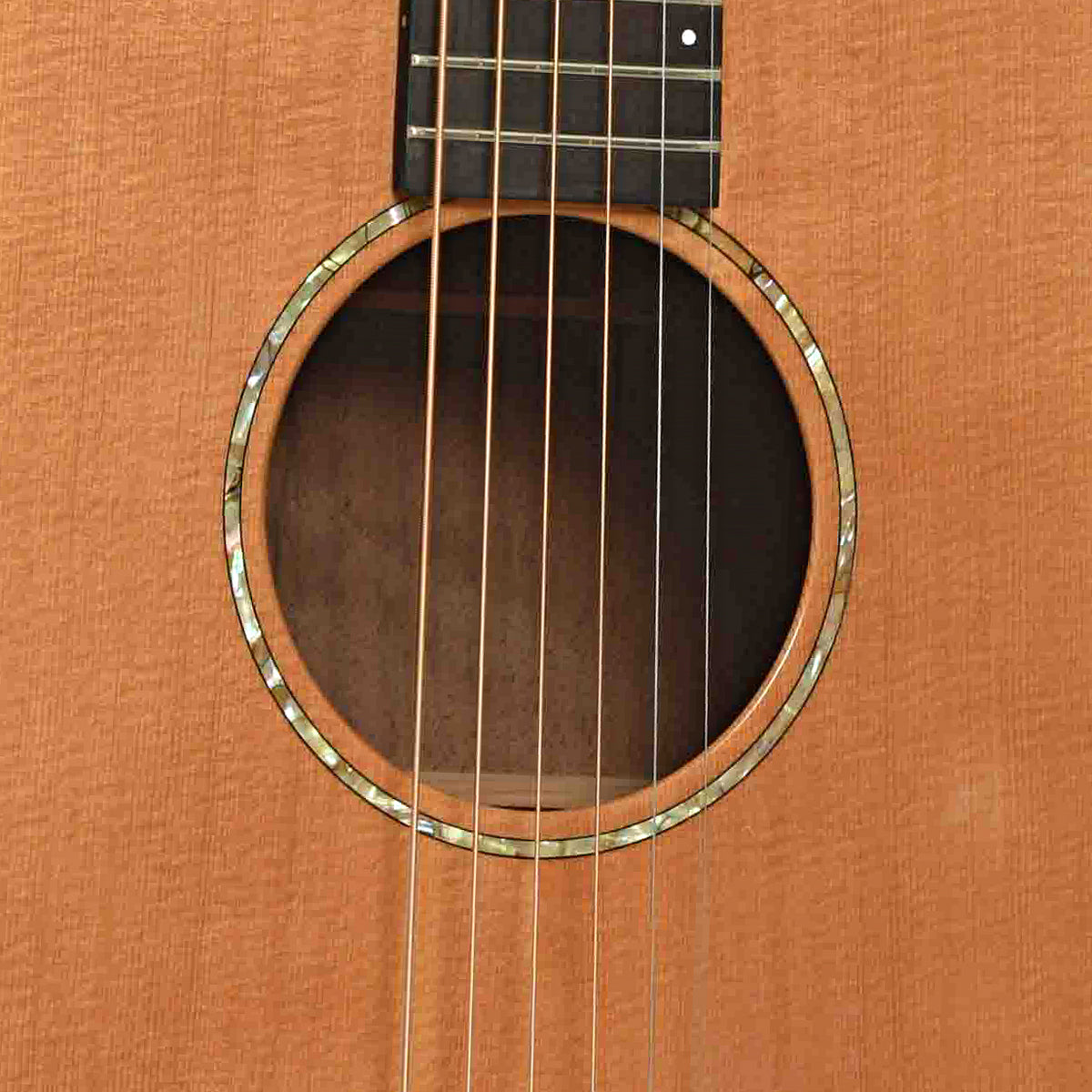 Soundhole of Breedlove SC20/W Acoustic Guitar