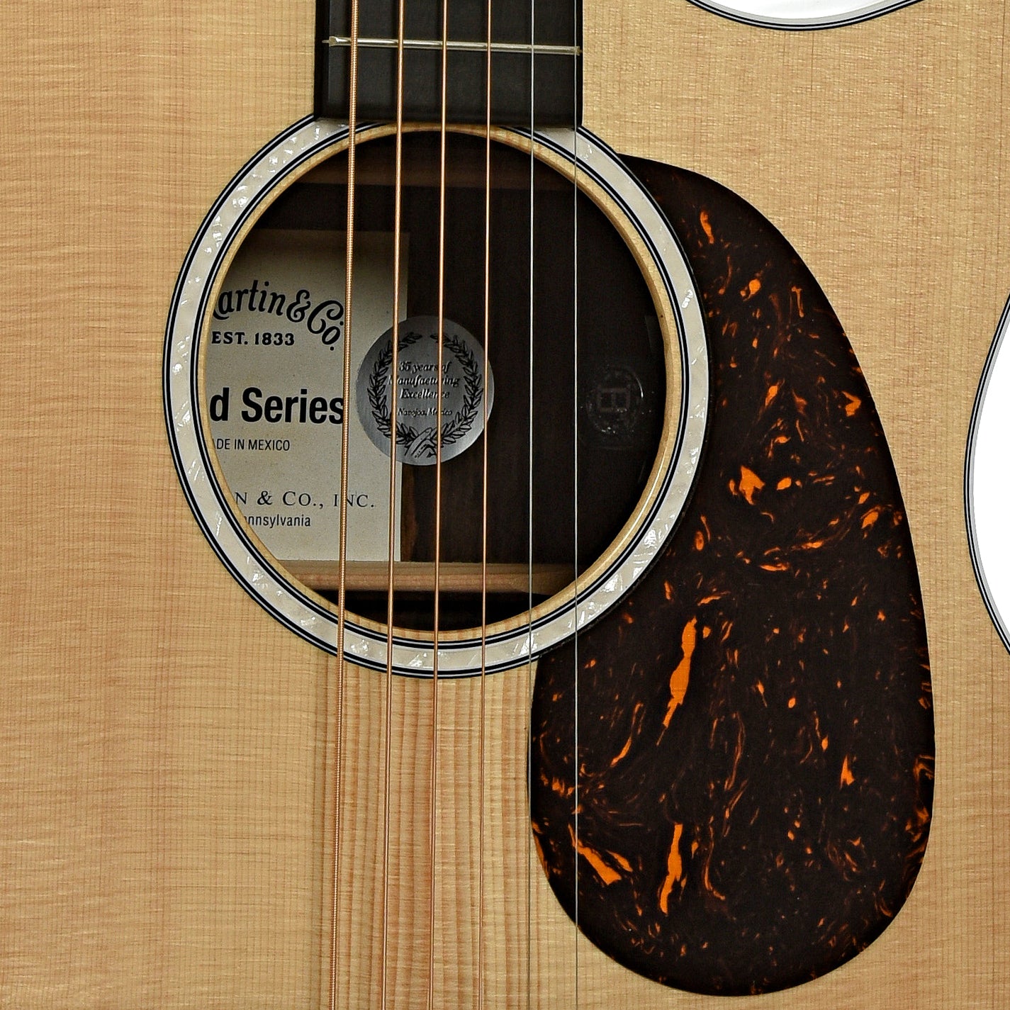 Soundhole of Martin GPC-13E Ziricote Acoustic-Electric Guitar 