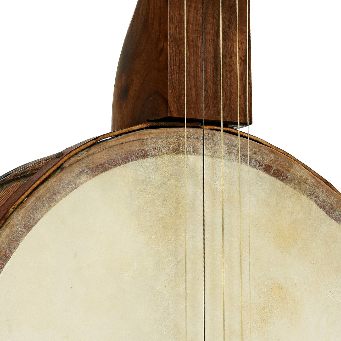 Front neck joint of Bob Thornburg Minstrel Banjo