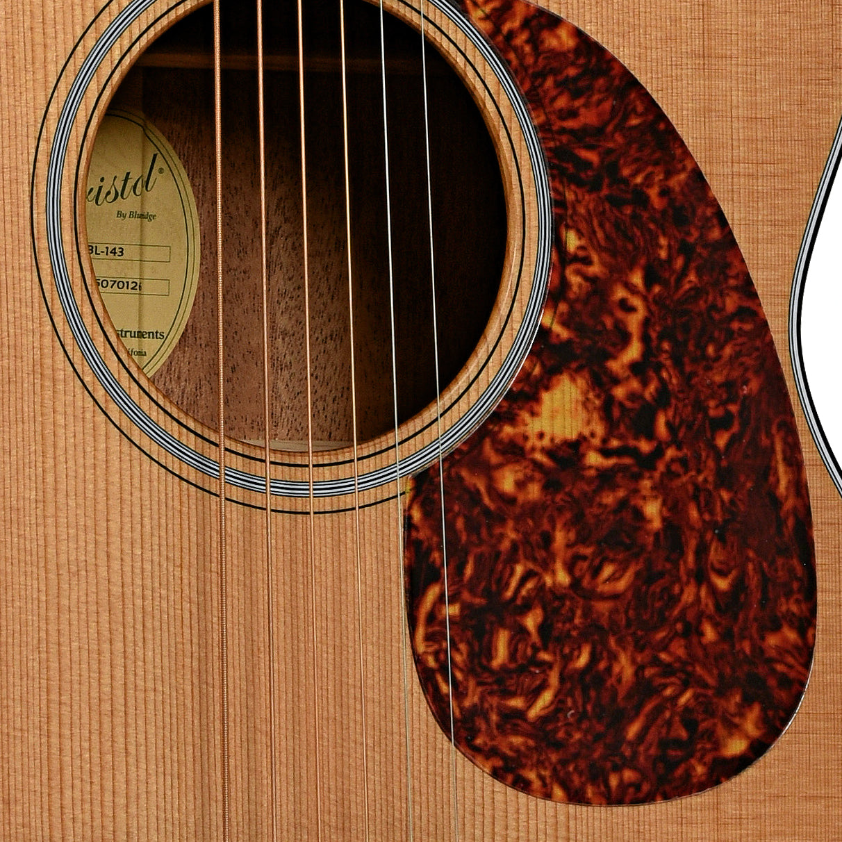 Soundhole of Bristol by Blueridge Deluxe Series BL-143 000 Acoustic Guitar