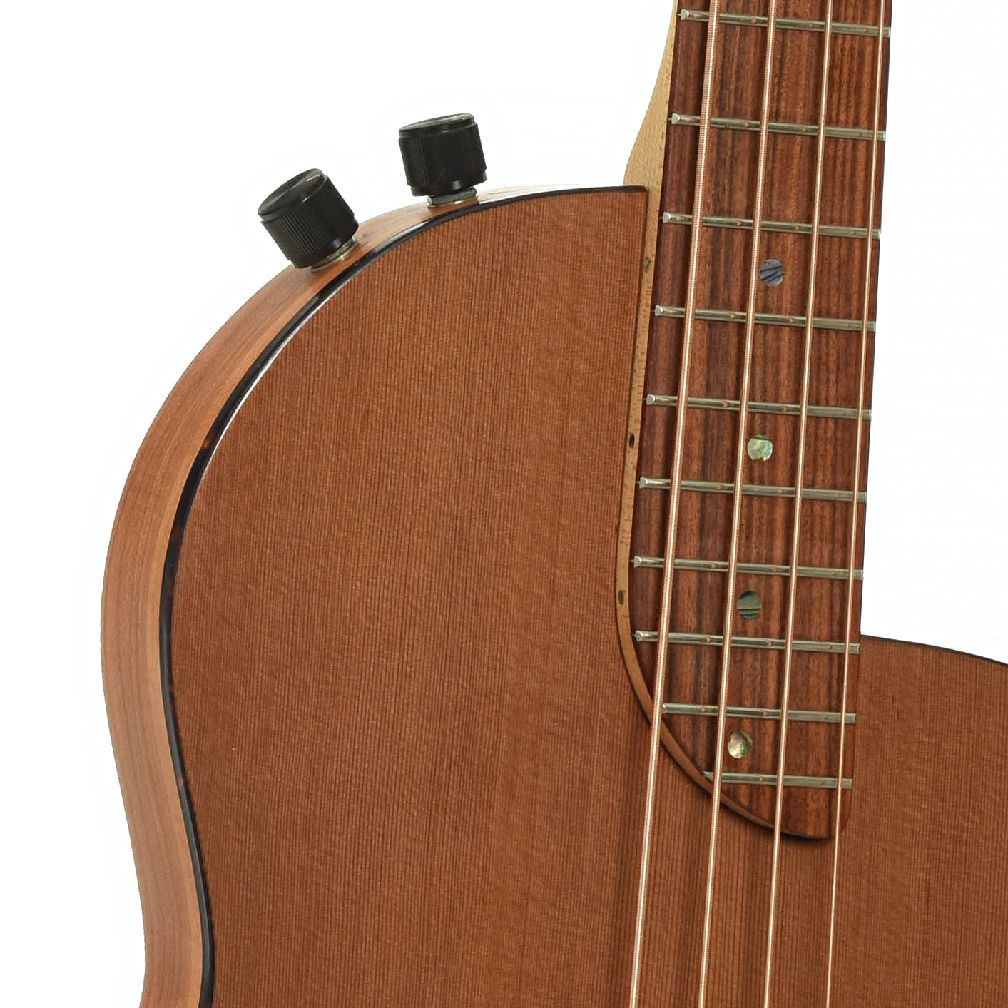 Controls of Rick Turner RB-4 Acoustic-Electric Bass