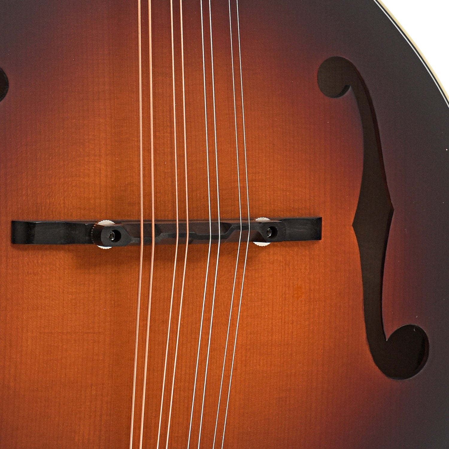 Eastman MD305ESB Mandolin & Gigbag, Sunburst