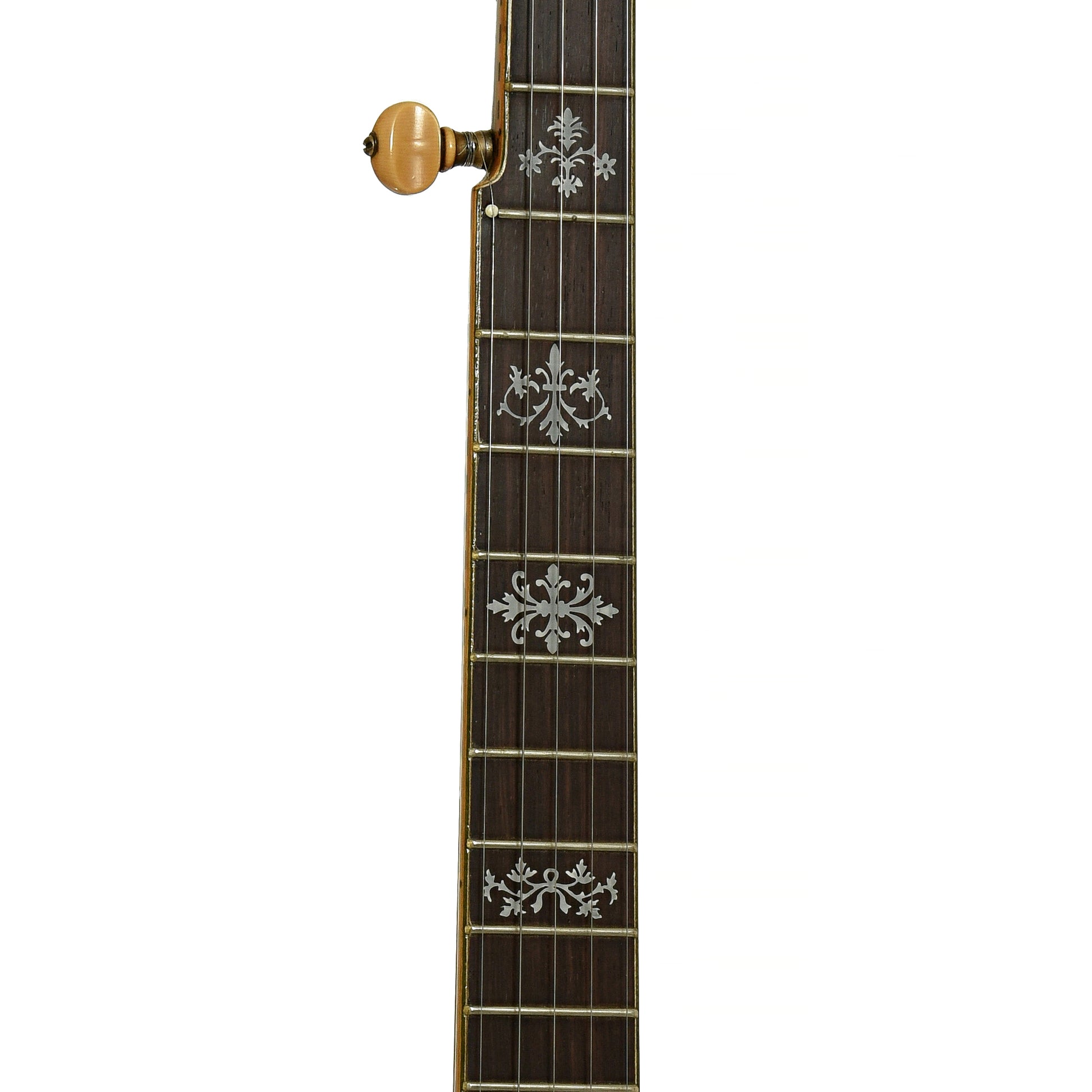 Fretboard of Orpheum No.3  5-String Conversion Banjo