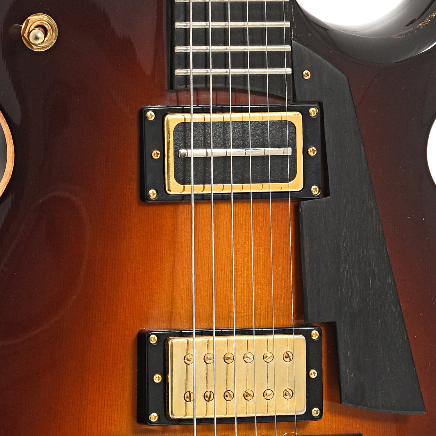 Pickups and pickguard of Eastman Otto D'Ambrio ER2