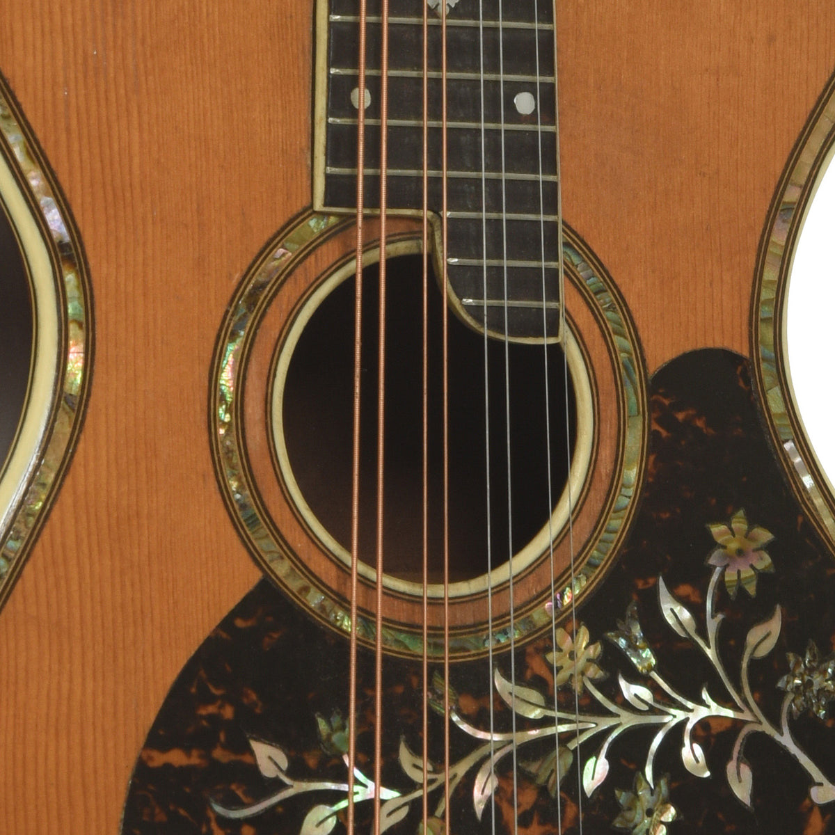 Soundhole of Dyer Symphonic Harp Mandolin Style 25 
