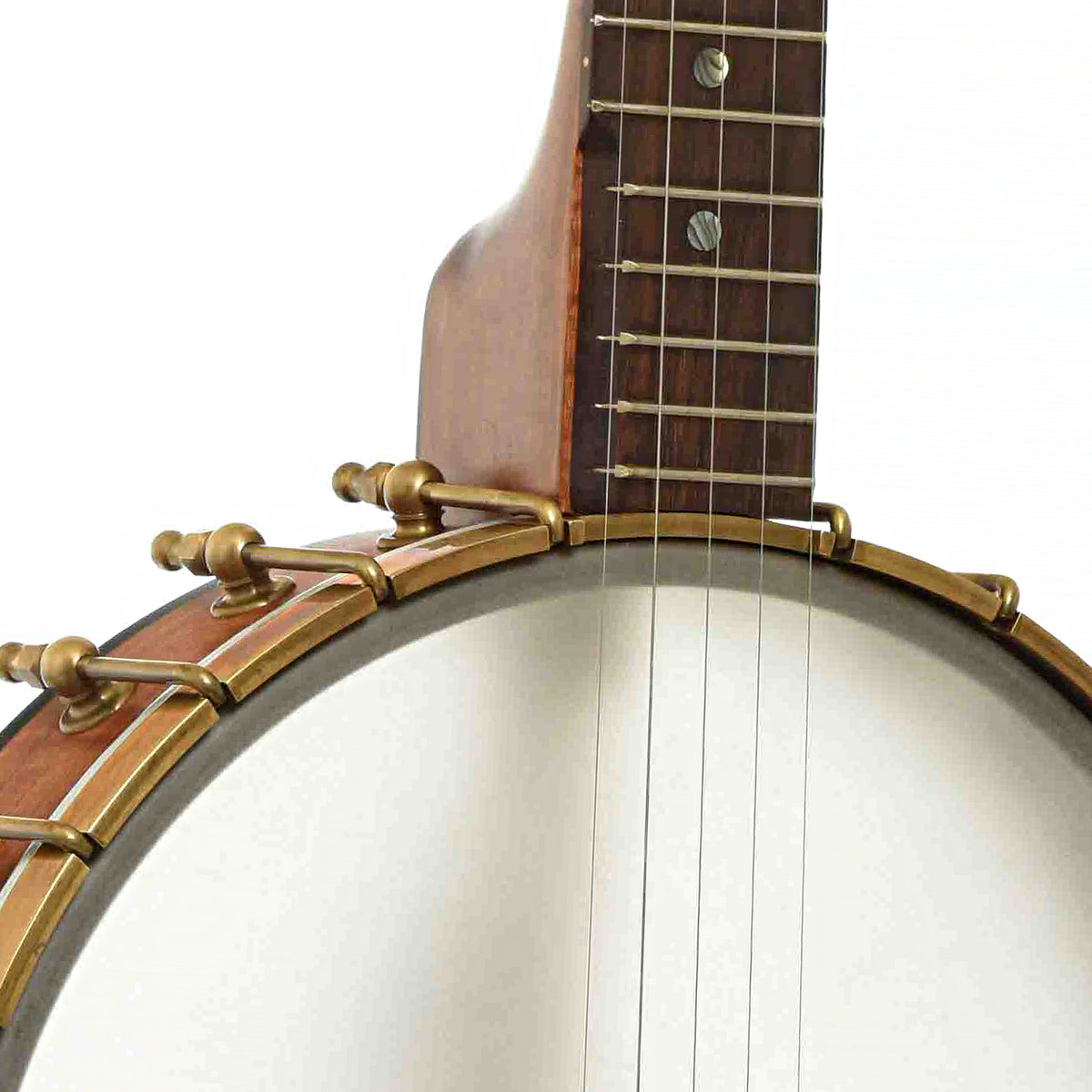 Tension hoop of Starr 11 in. Curly Maple Openback
