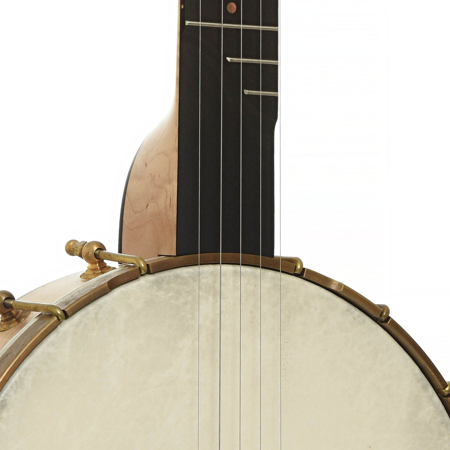 Front neck joint of Pisgah Laydie Openback Banjo