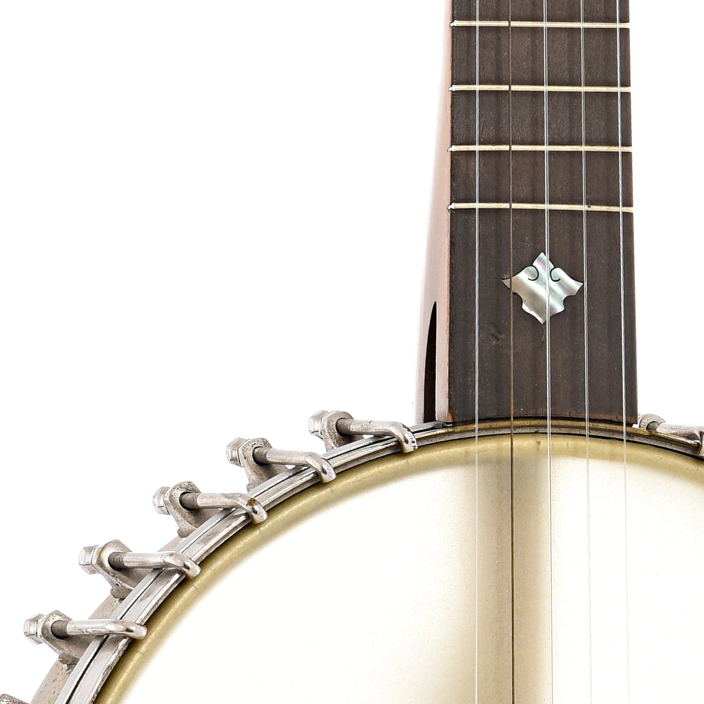 front body and neck join of Dobson Victor No.2 Specialty Openback Banjo (c.1887)