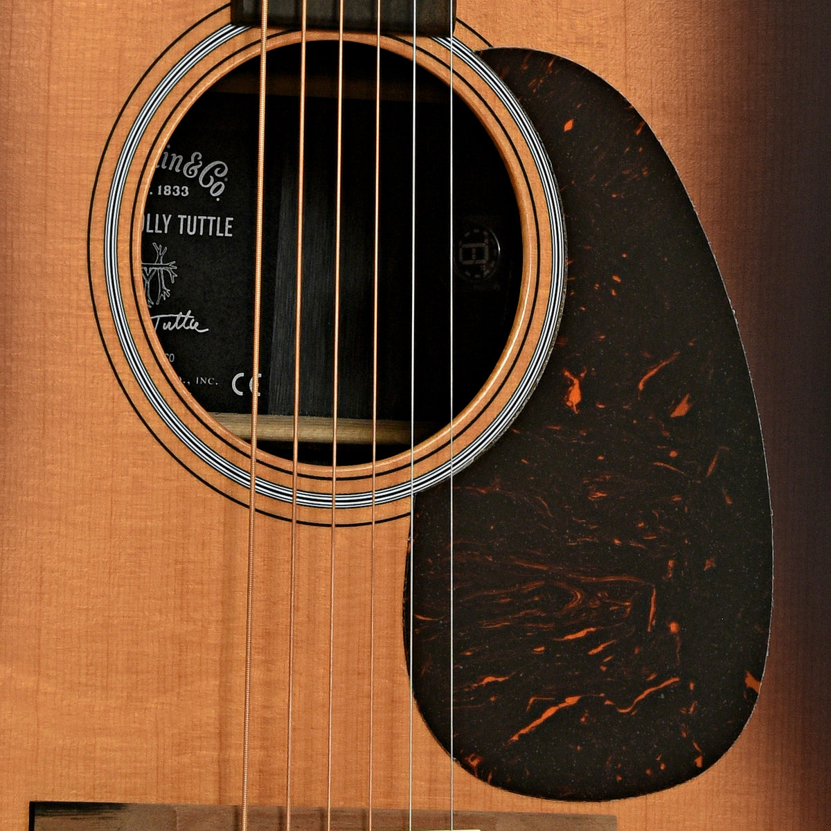 Tuttle Instrument Martin D-X2E Molly Tuttle Guitar and Gigbag – Elderly Instruments