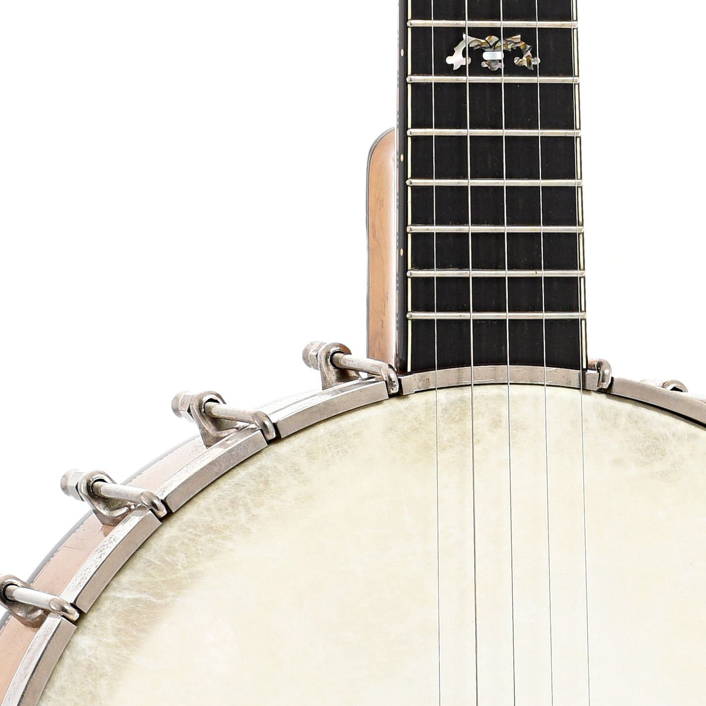 front neck and body join of Wildwood Artist Open Back Banjo (c.1990)