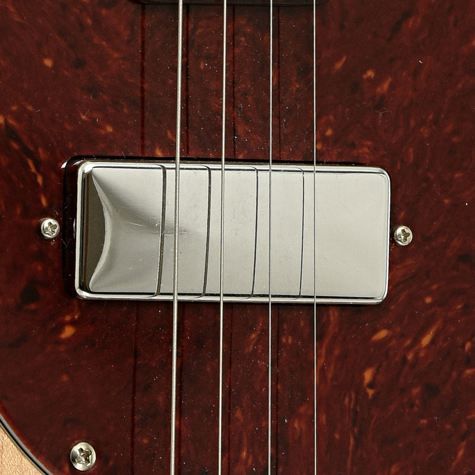 Pickup of J.L. Smith Electric Mandolin