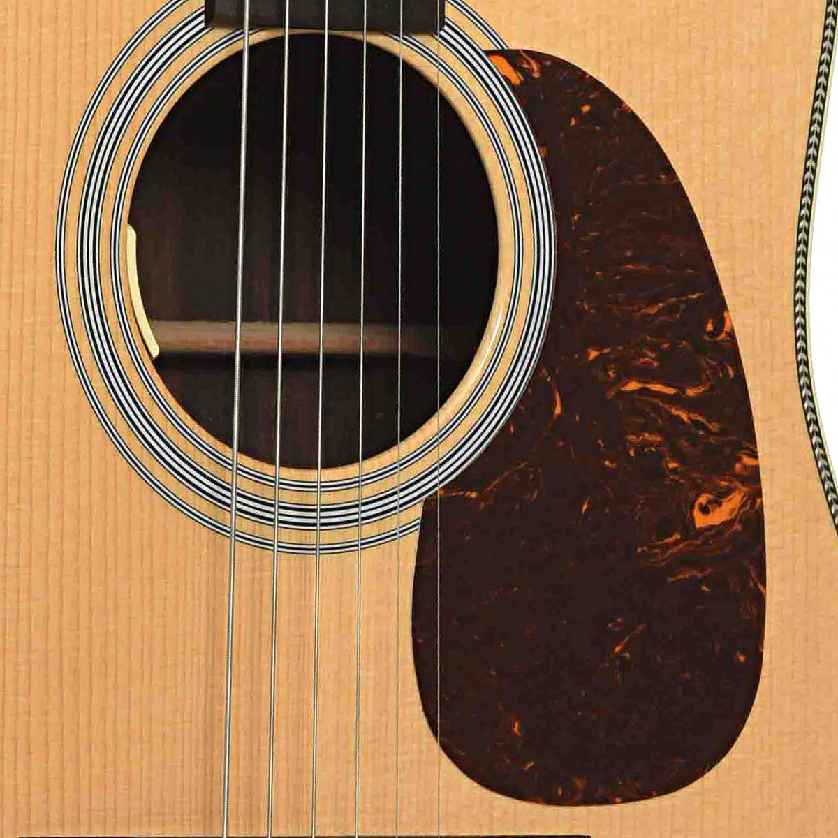 Soundhole of Martin Custom D-28 12-Fret