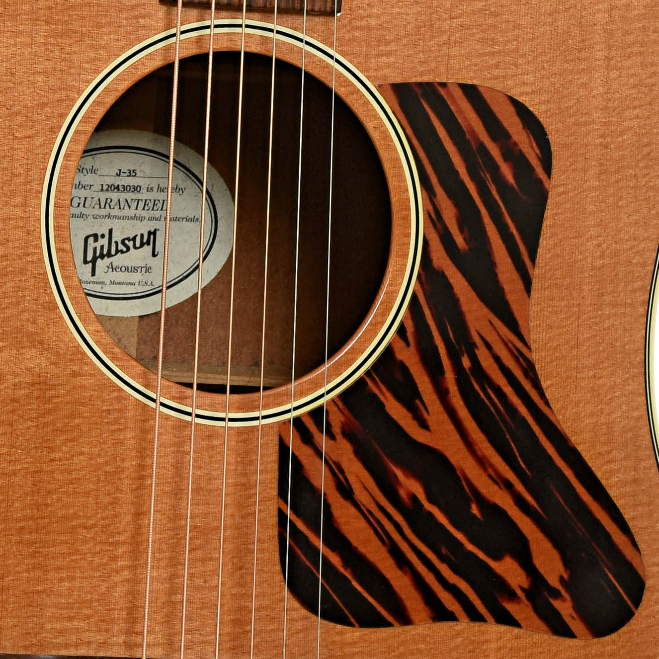 Soundhole of Gibson J-35 Acoustic Guitar