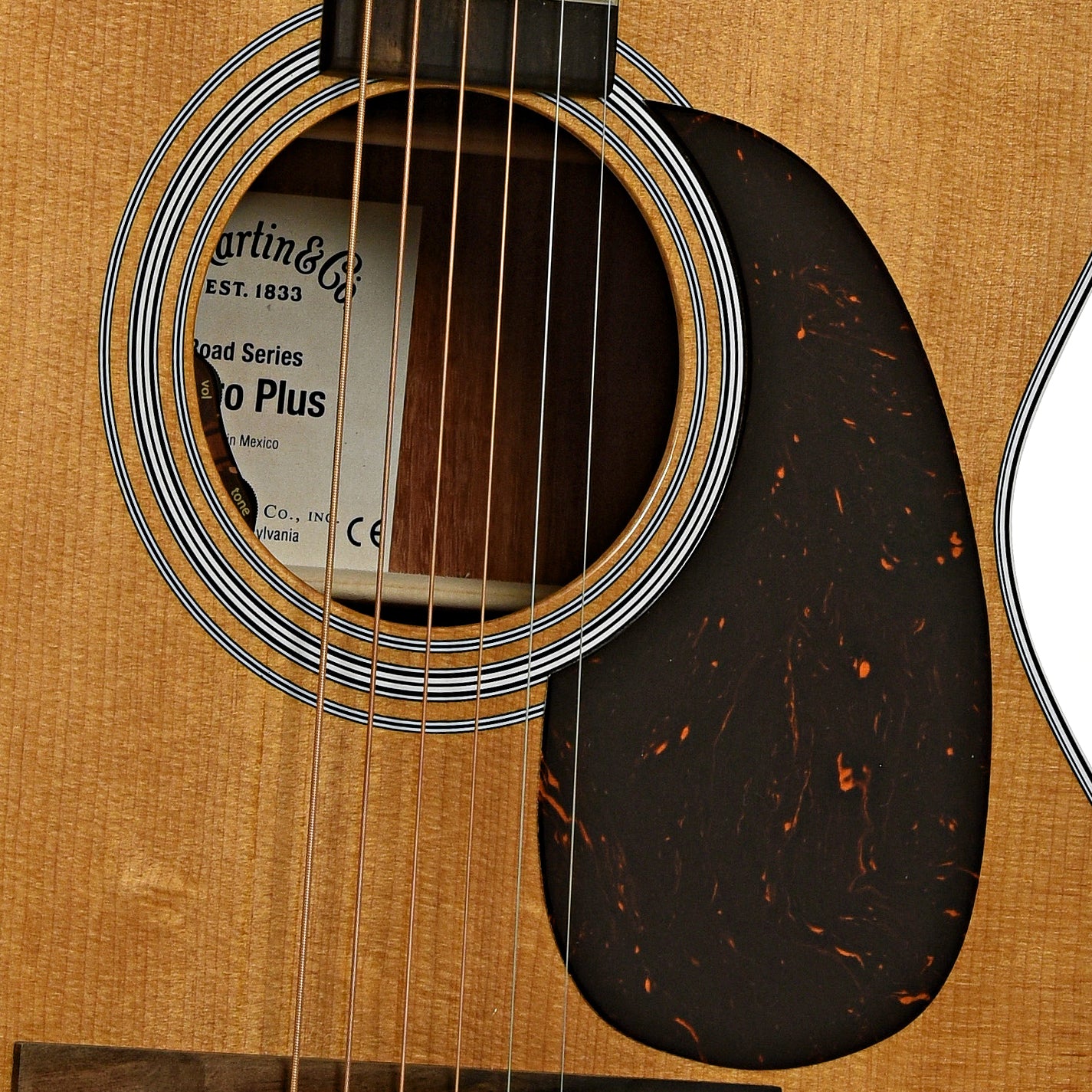 Soundhole of Martin 000E Retro Plus Granadillo Guitar