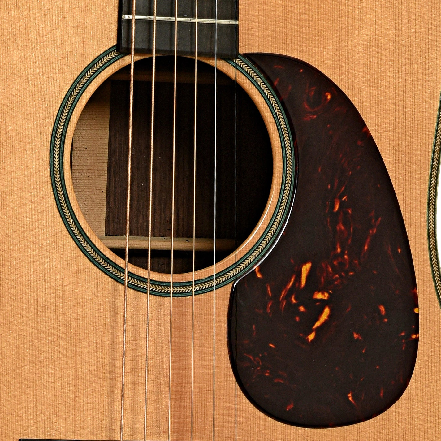 Soundhole of East Virginia Guitars FP-R1 Acoustic Guitar