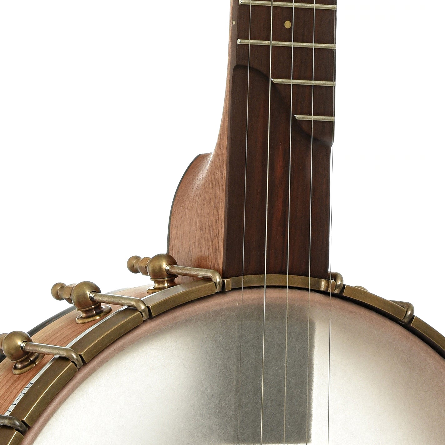 Front neck joint of Ome Tupelo 11in Openback Banjo, Mahogany Neck