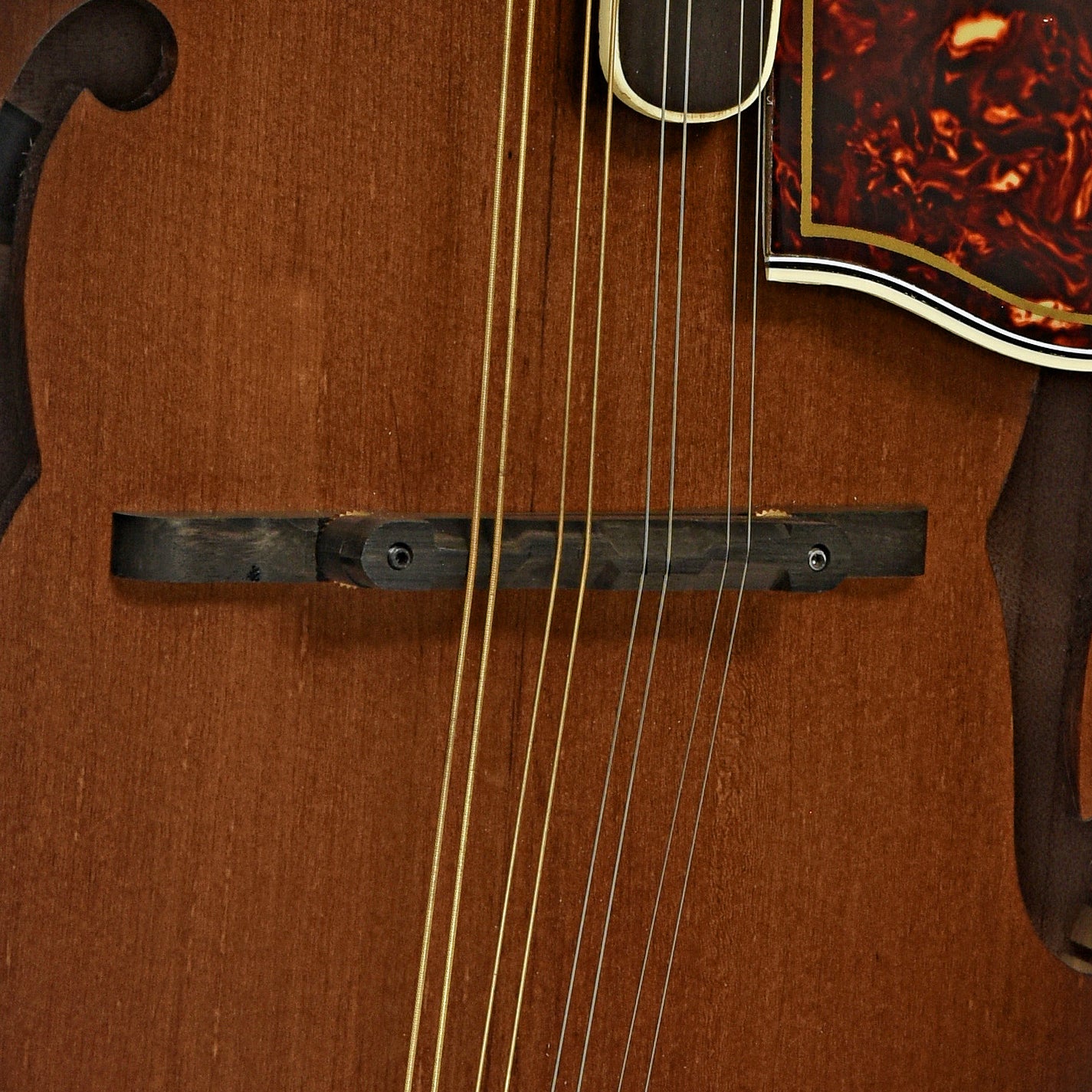 Bridge of Ortega RMFE100AVO Acoustic-Electric F-Model Mandolin