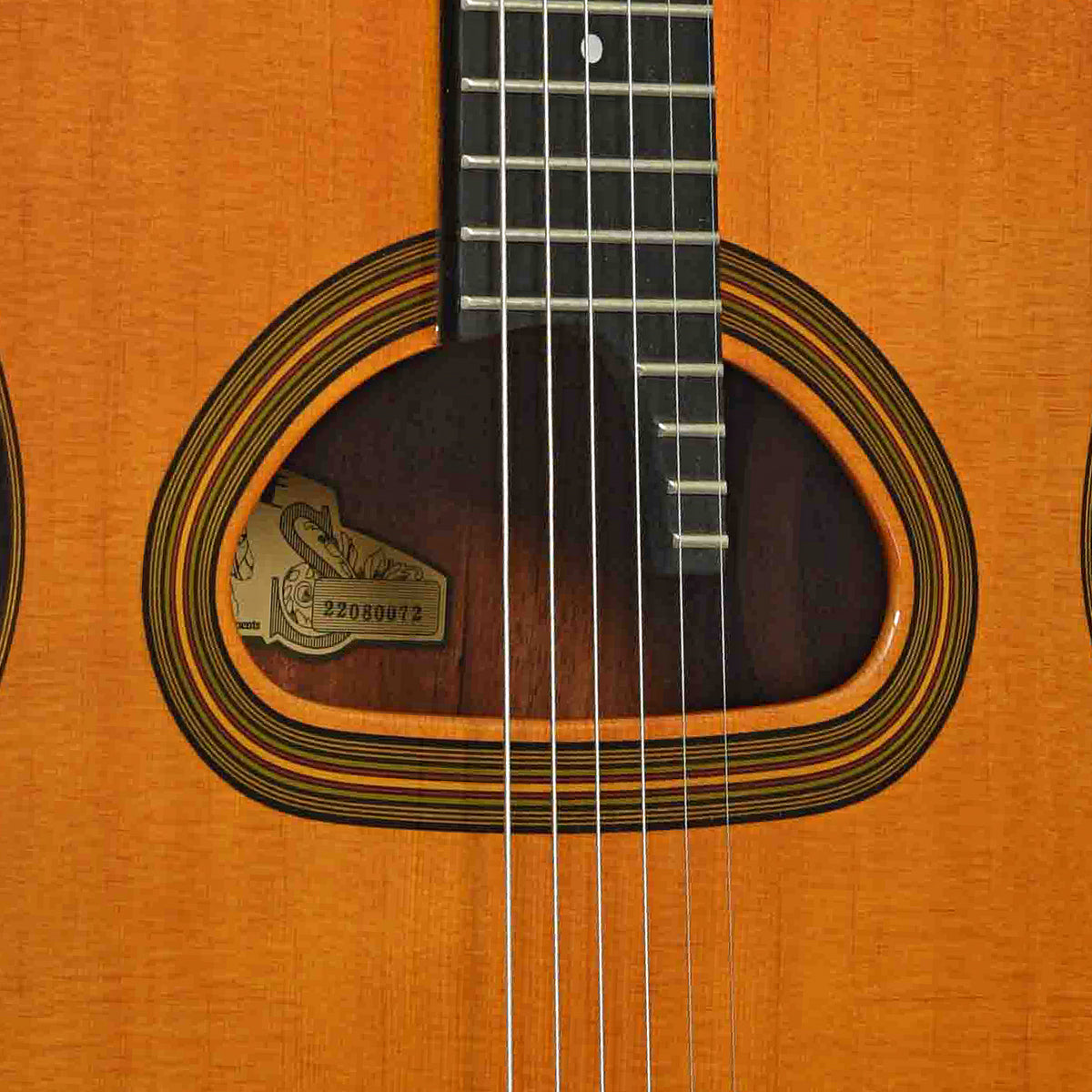 Soundhole of D-500 D-Hole Hot Club Jazz Guitar