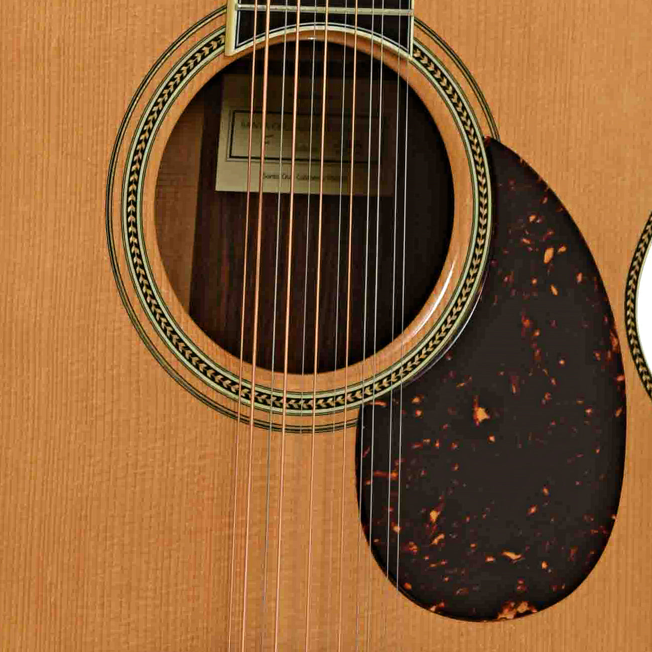 Soundhole of Santa Cruz Brazilian F Custom 12-String Acoustic Guitar
