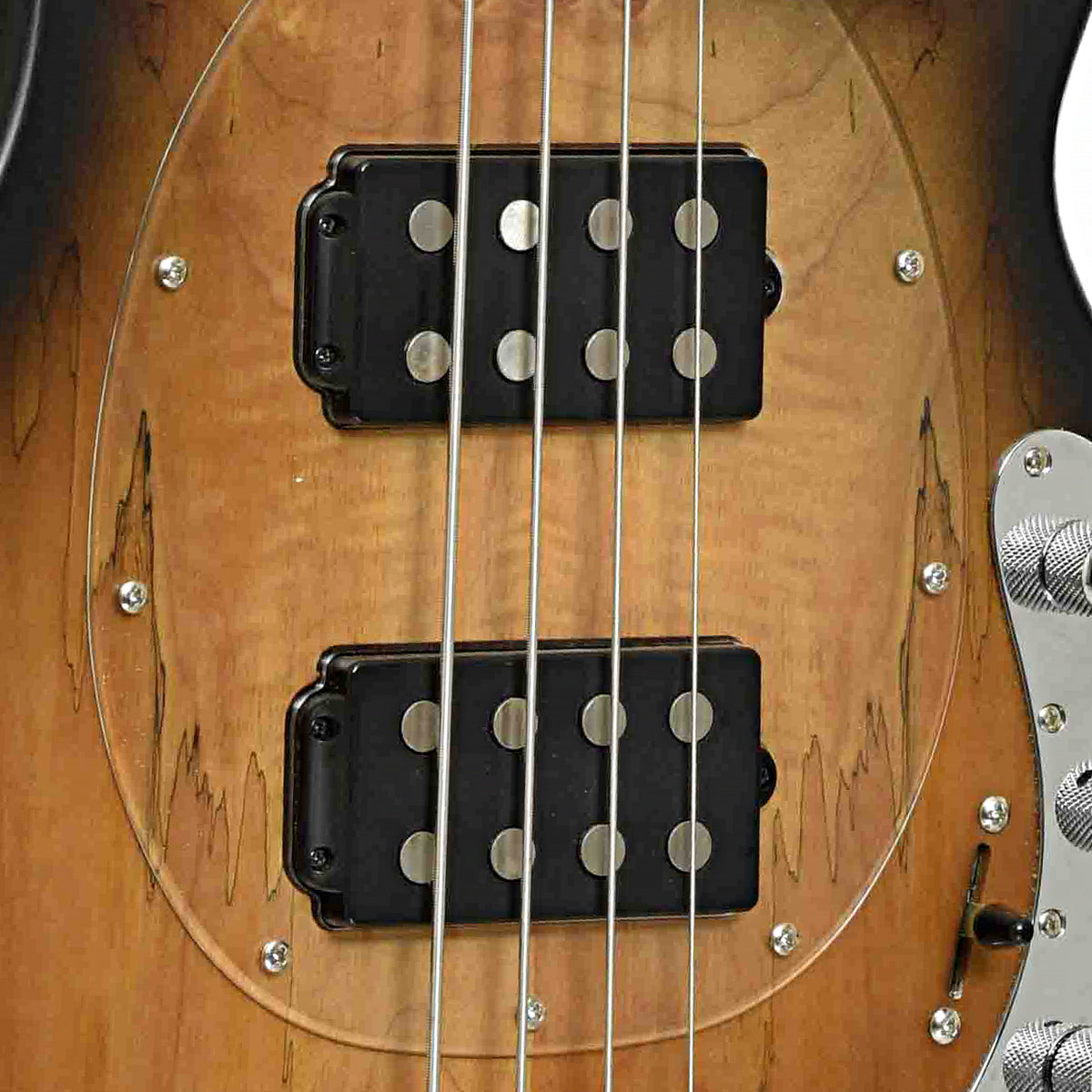 Pickups of Stingray 34HH Spalted Maple Electric Bass