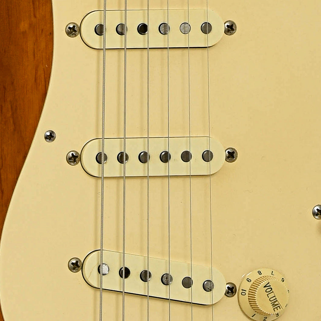 Pickups of Lentz S-Style Electric Guitar