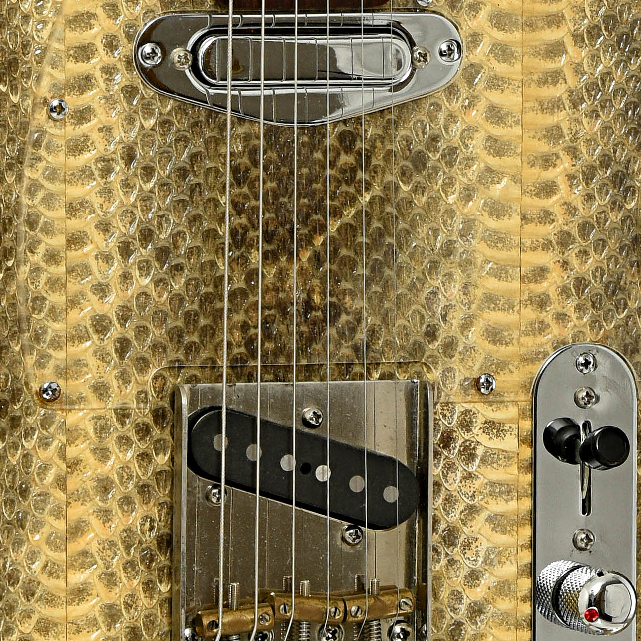 PIckups of Wagner Snakeskin T Electric Guitar