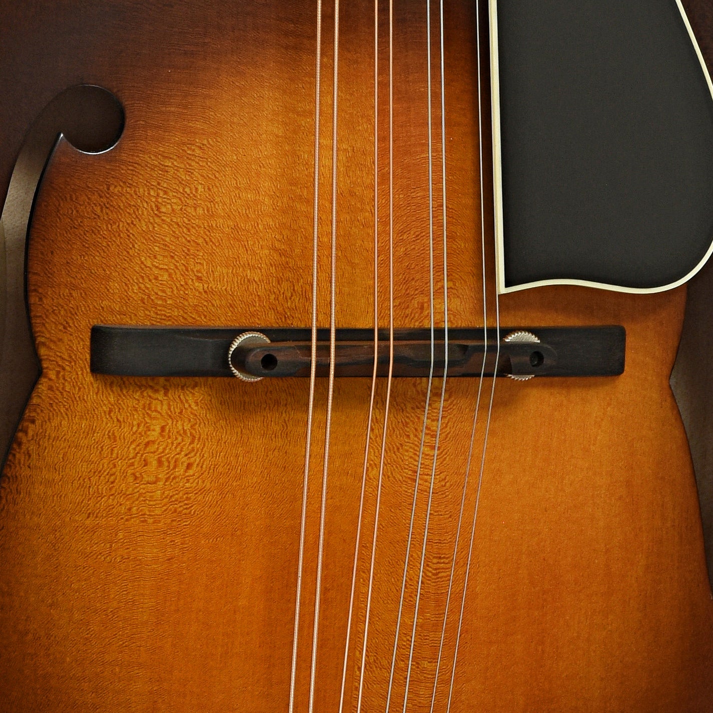 Bridge of Northfield Workshop S-Series NFS-F5E Mandolin 