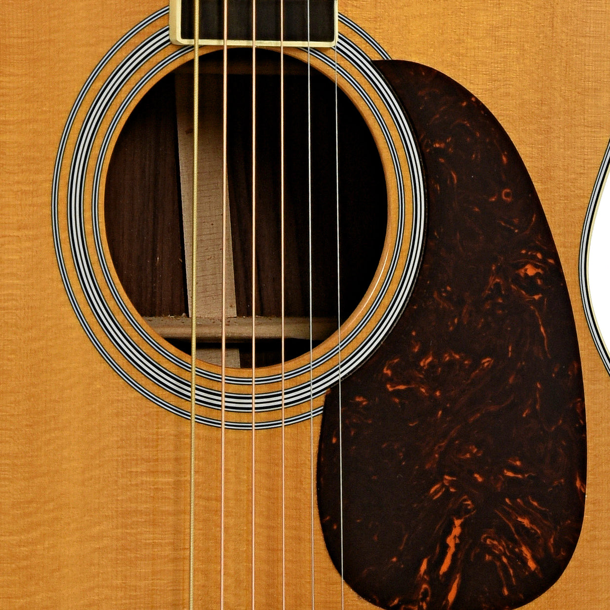 Soundhole of Martin M-36 Acoustic Guitar 