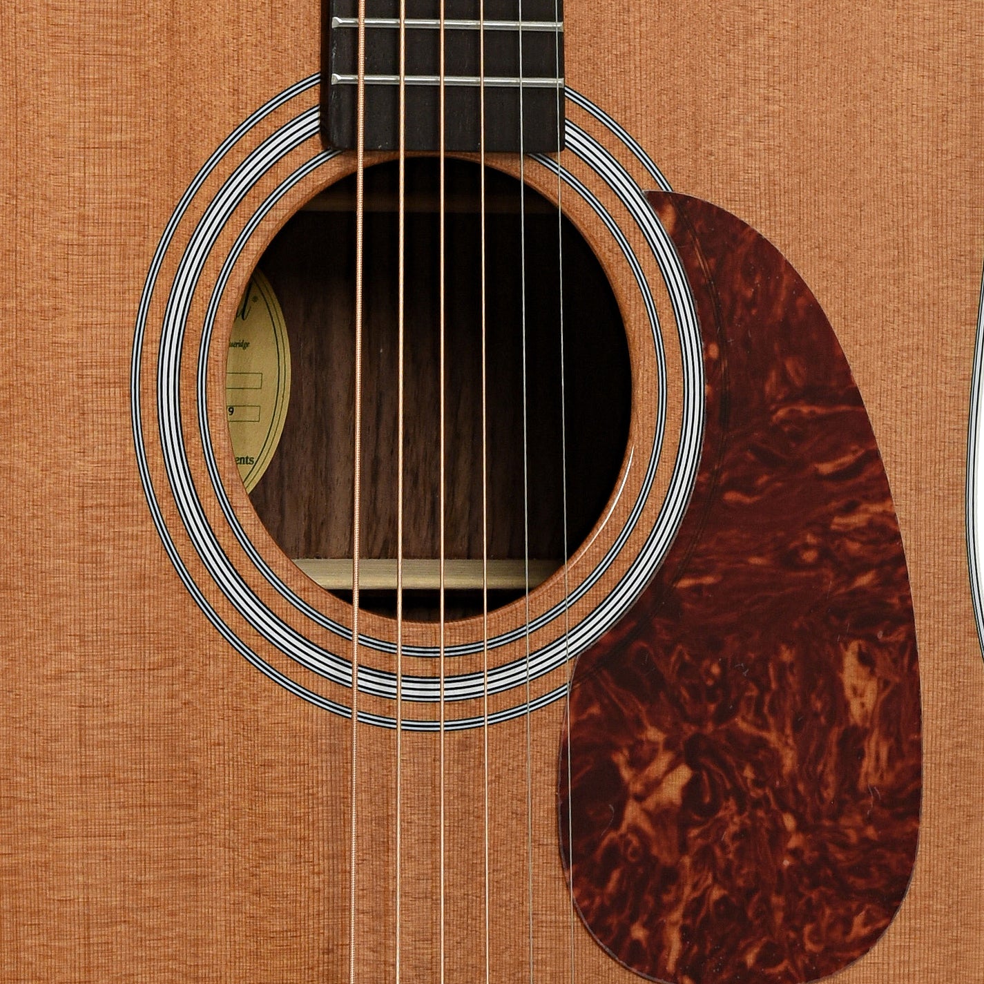 Bristol by Blueridge BL-160 Deluxe Series Dreadnought Acoustic Guitar