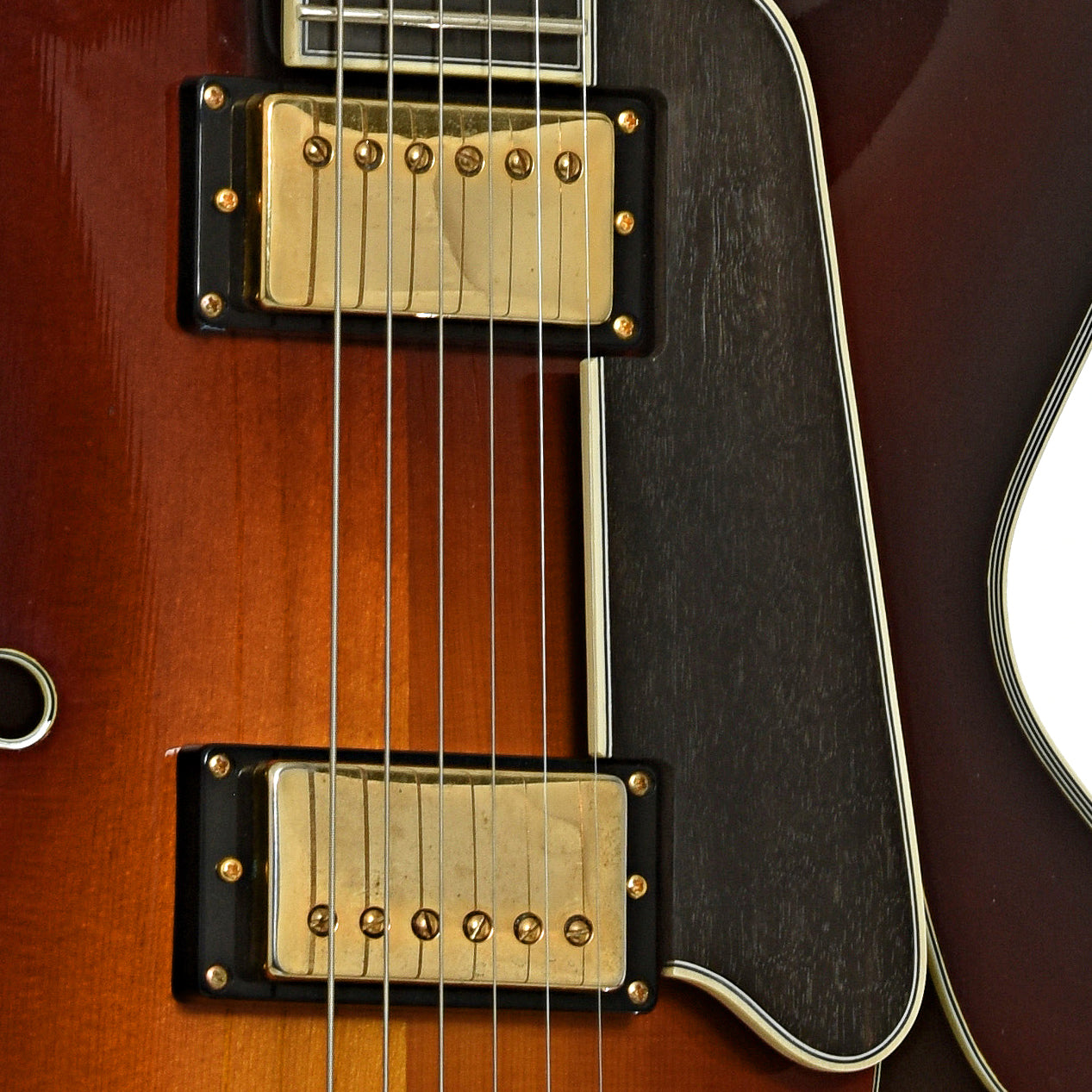 Pickups of Eastman AR803CED - 16 Hollowbody Electric Guitar