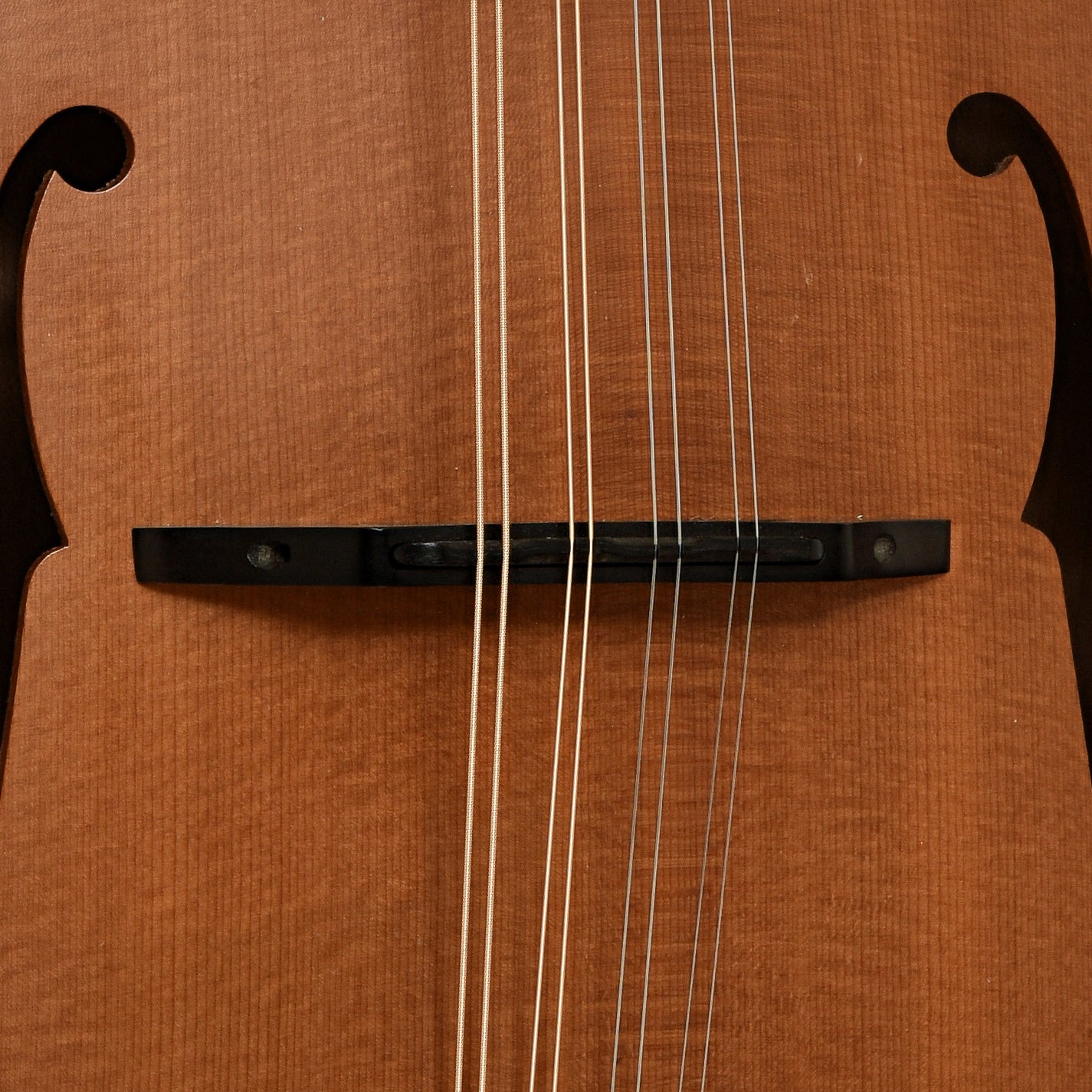 Bridge of Weber Hyalite Mandolin 