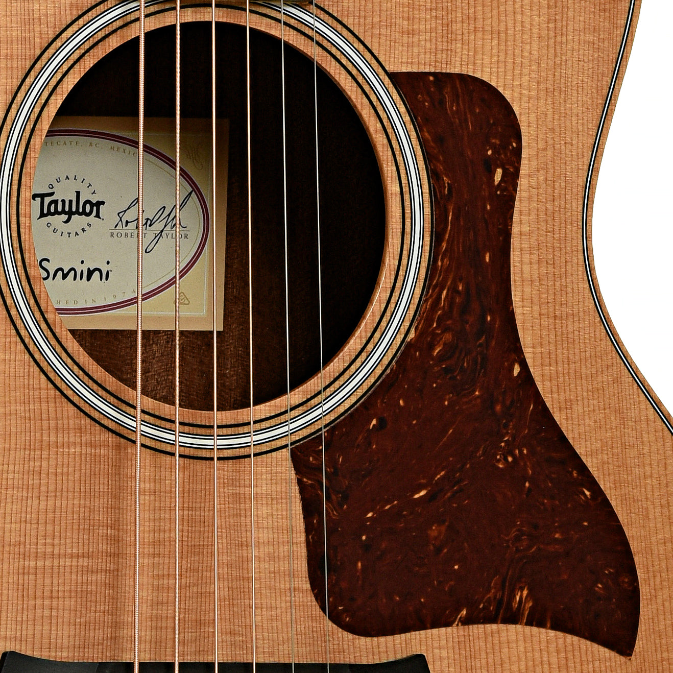 Soundhole of Taylor GS Mini-E Rosewood Acoustic Guitar 
