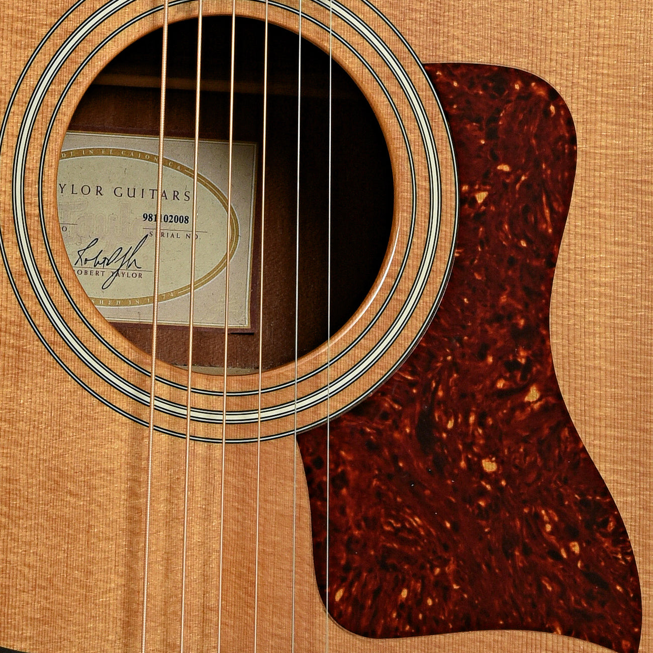 Soundhole of Taylor 310-CE Acoustic-Electric Guitar 
