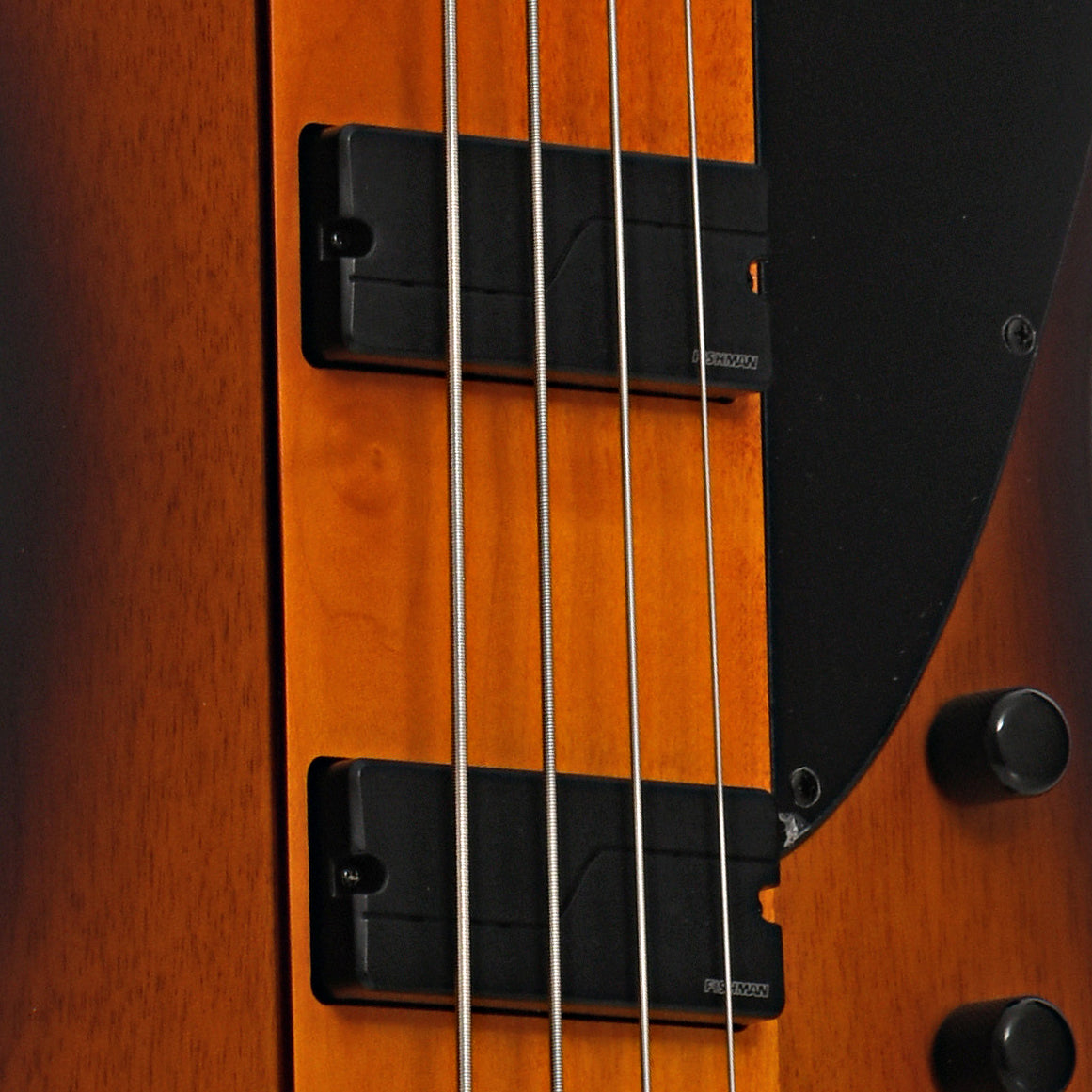 Pickups of ESP LTD Phoenix-1004 4-String Bass, Tobacco Sunburst Satin