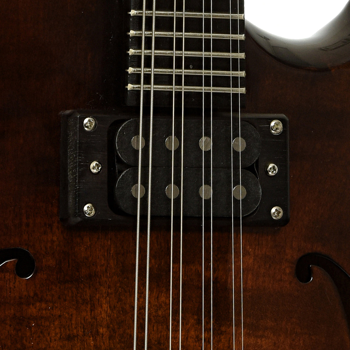 Pickups of Eastman ER-M El Rey Electric Mandolin