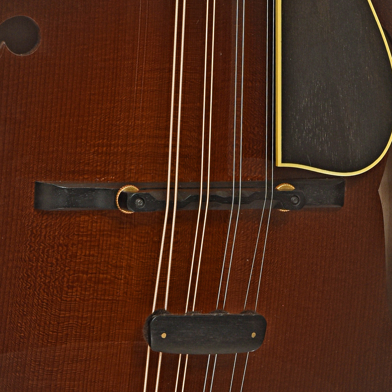 Bridge of Collings MF-5 Varnish Mandolin 
