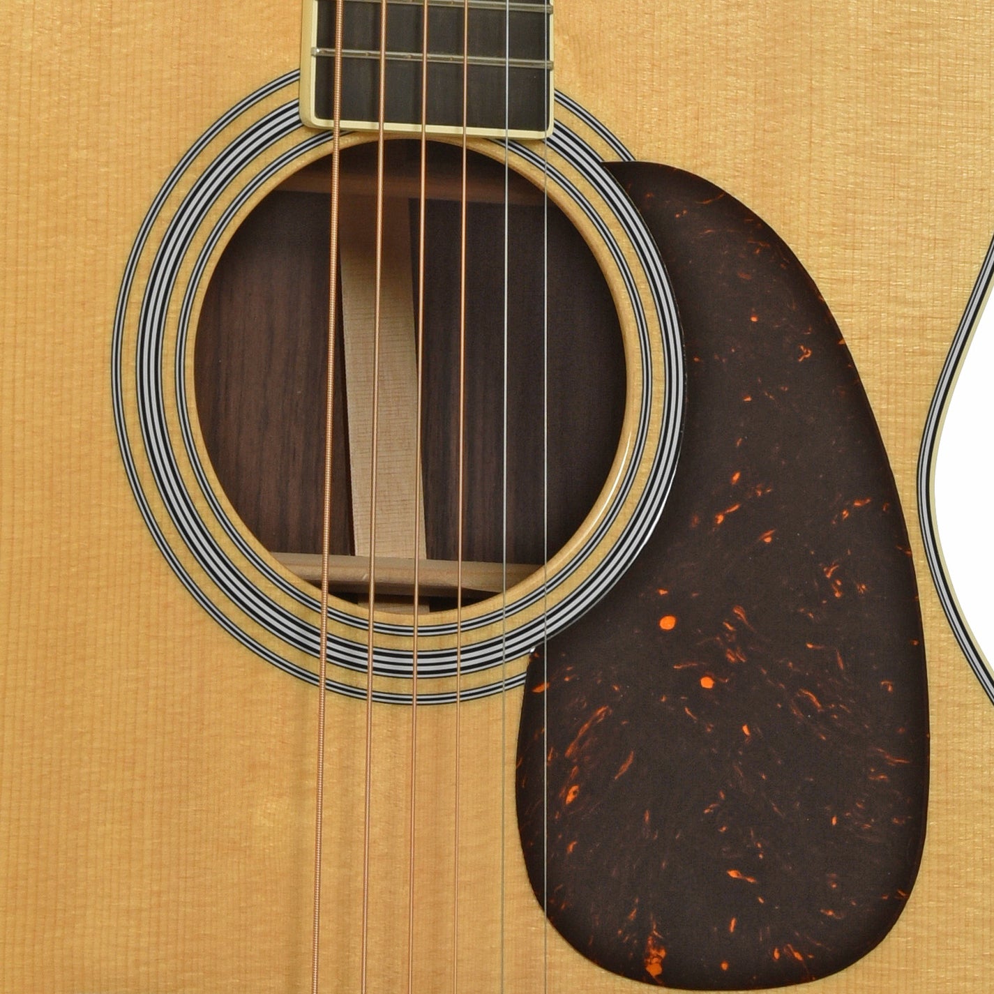 Martin M-36 Custom Shop Acoustic Guitar & Case – Elderly Instruments