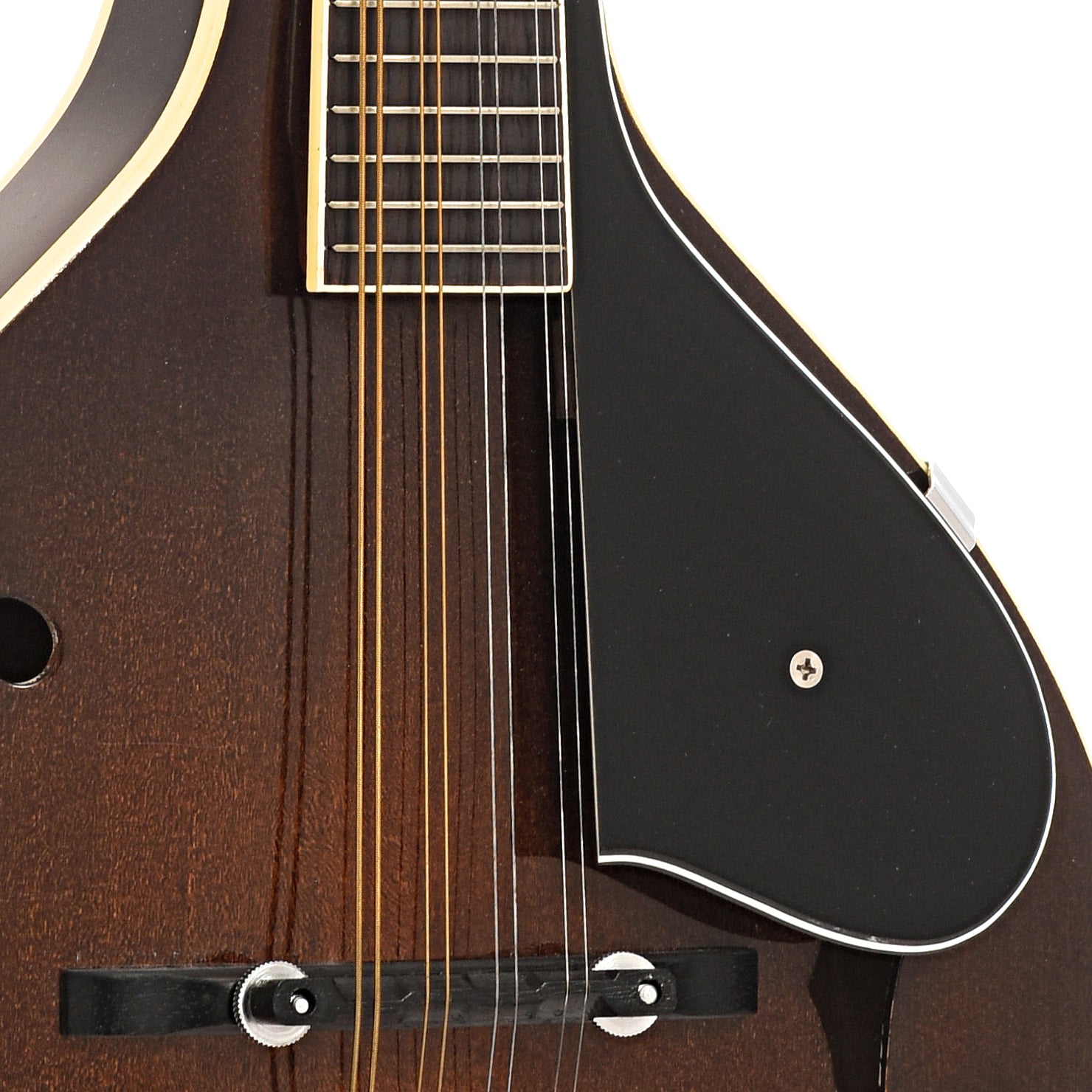 Bridge and pickguard of Kentucky KM250S mandolin