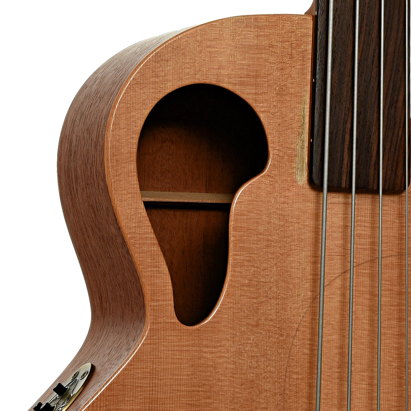 Soundhole of Tacoma CB10C Thunderchief Fretless Acoustic-Electric Bass