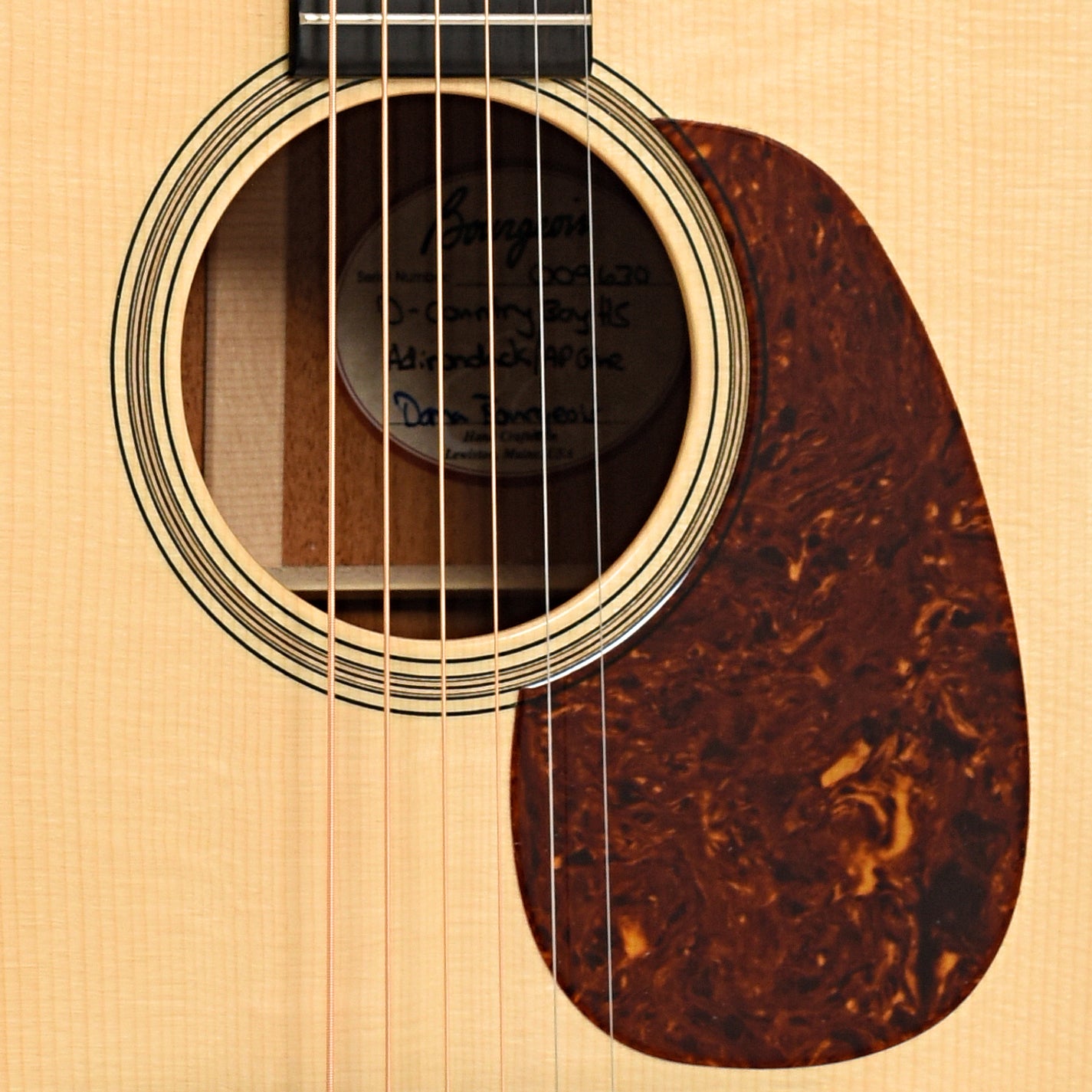 Sound hole and pickguard of Bourgeois Country Boy D