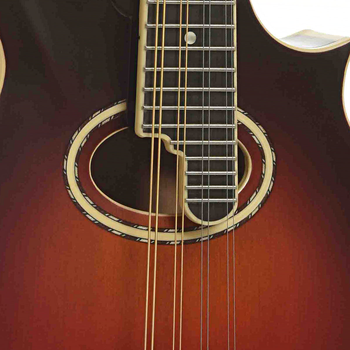 Soundhole of Gold Tone Mastertone GM-80 F-Style Mandolin